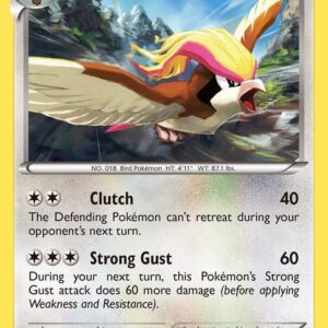 Pidgeot 77/106 Normal XY – Flashfire