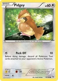 Pidgey | 75/106 | Reverse Holofoil | XY - Flashfire