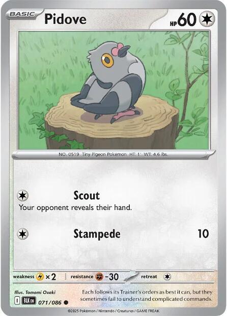 Pidove 071/086 Reverse Holofoil SV: Black Bolt