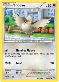 Pidove | 78/108 | Reverse Holofoil | XY - Roaring Skies