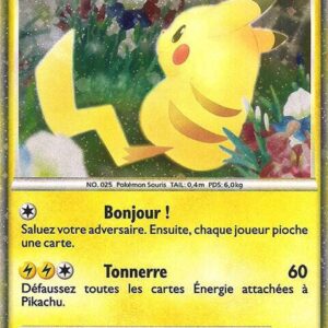 Pikachu (French) PW 7 Holofoil Pikachu World Collection Promos