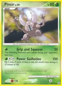 Pinsir | 59/132 | Normal | Secret Wonders