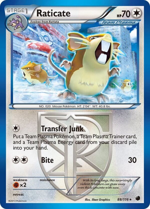Raticate (Team Plasma) 88/116 Reverse Holofoil Plasma Freeze Raticate (Team Plasma) 88/116 Reverse Holofoil Plasma Freeze
