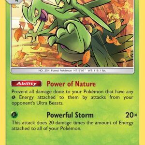 Sceptile 10a/168 010a/168 Holofoil Alternate Art Promos