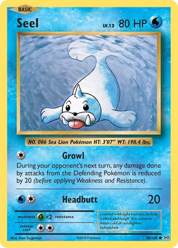 Seel 28/108 Normal XY – Evolutions