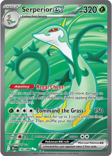 Serperior ex 156/086 Holofoil SV: Black Bolt
