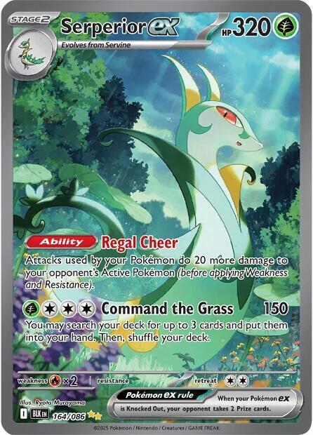 Serperior ex 164/086 Holofoil SV: Black Bolt