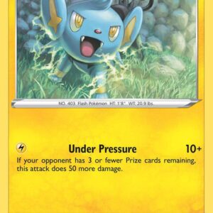 Shinx 031/072 Reverse Holofoil Shining Fates