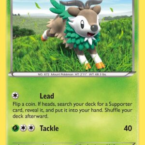 Skiddo 18/146 Normal XY Base Set Skiddo 18/146 Normal XY Base Set