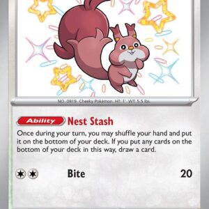 Skwovet 205/091 Holofoil SV: Paldean Fates
