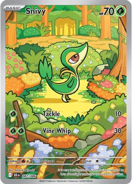 Snivy 087/086 Holofoil SV: Black Bolt