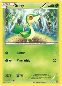 Snivy (1) | 1/114 | Normal | Black and White