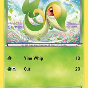 Snivy 11/149 Normal Boundaries Crossed