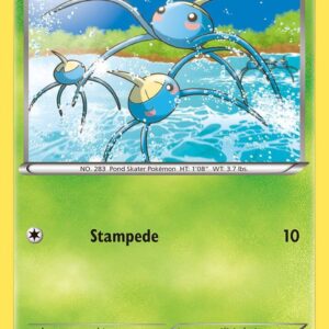 Surskit 13/160 Reverse Holofoil XY – Primal Clash