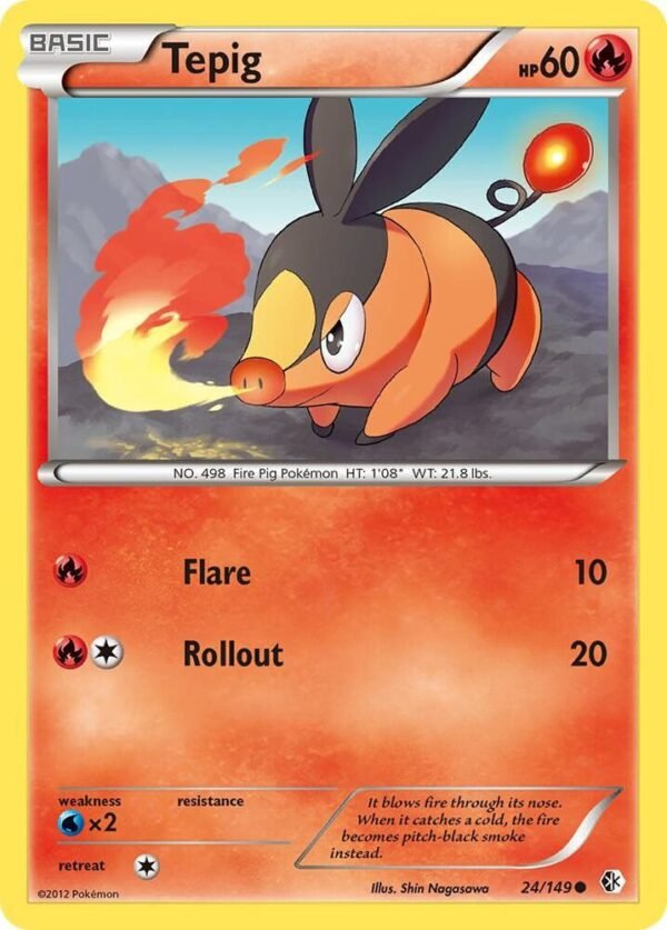 Tepig 24/149 Reverse Holofoil Boundaries Crossed