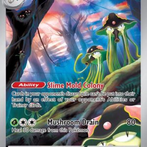Toedscruel 185/182 Holofoil SV04: Paradox Rift Toedscruel 185/182 Holofoil SV04: Paradox Rift