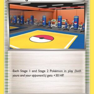 Training Center 102/111 Normal XY – Furious Fists Training Center 102/111 Normal XY – Furious Fists