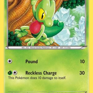 Treecko 6/116 Normal Plasma Freeze Treecko 6/116 Normal Plasma Freeze
