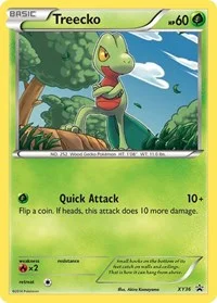 Treecko | XY36 | Holofoil | XY Promos