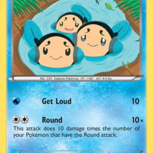 Tympole 33/122 Normal XY – BREAKpoint