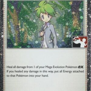 Wally's Compassion | 132/132 | Holofoil | Prize Pack Series Cards