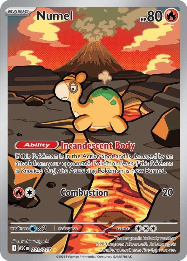 Numel 223/217 Holofoil ME: Ascended Heroes