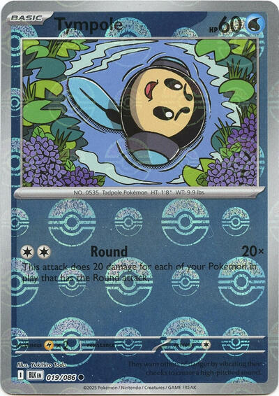 Tympole (Poke Ball Pattern) | 019/086 | Holofoil | SV: Black Bolt