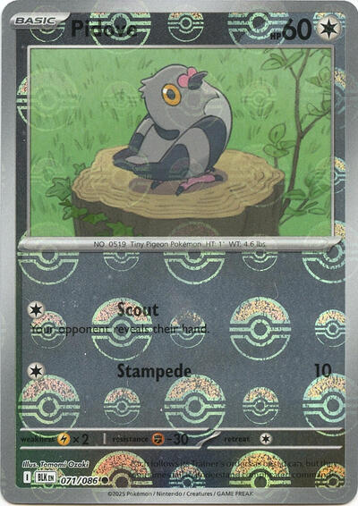 Pidove (Poke Ball Pattern) | 071/086 | Holofoil | SV: Black Bolt
