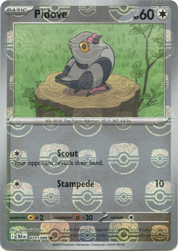 Pidove (Master Ball Pattern) 071/086 Holofoil SV: Black Bolt Pidove (Master Ball Pattern) 071/086 Holofoil SV: Black Bolt