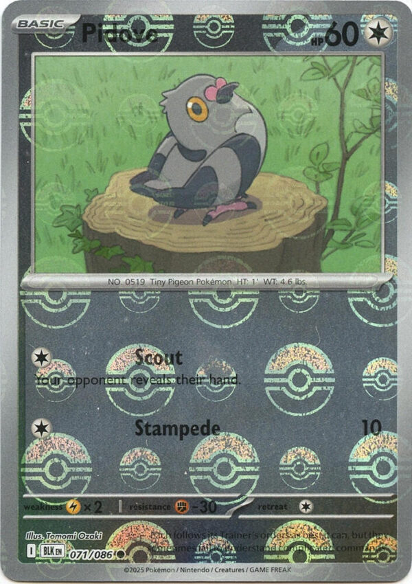 Pidove (Poke Ball Pattern) 071/086 Holofoil SV: Black Bolt