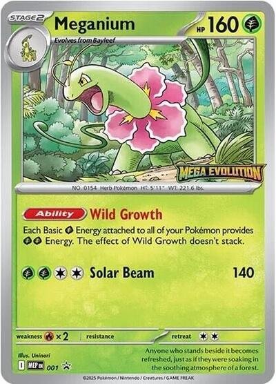 654594_400w Meganium - 001 | Holofoil | ME: Mega Evolution Promo