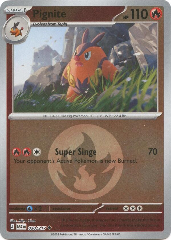 Pignite (Energy Symbol Pattern) 030/217 Reverse Holofoil ME: Ascended Heroes