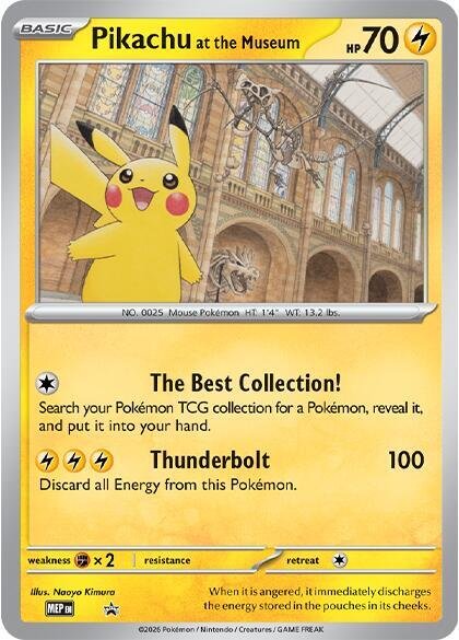 Pikachu at the Museum | Normal | Jumbo Cards